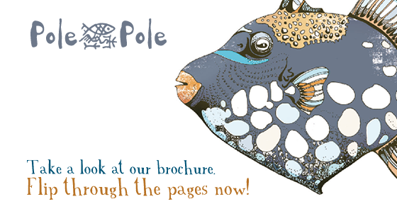 Pole Pole Brochure